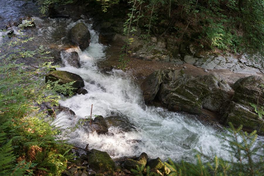 Bild1a